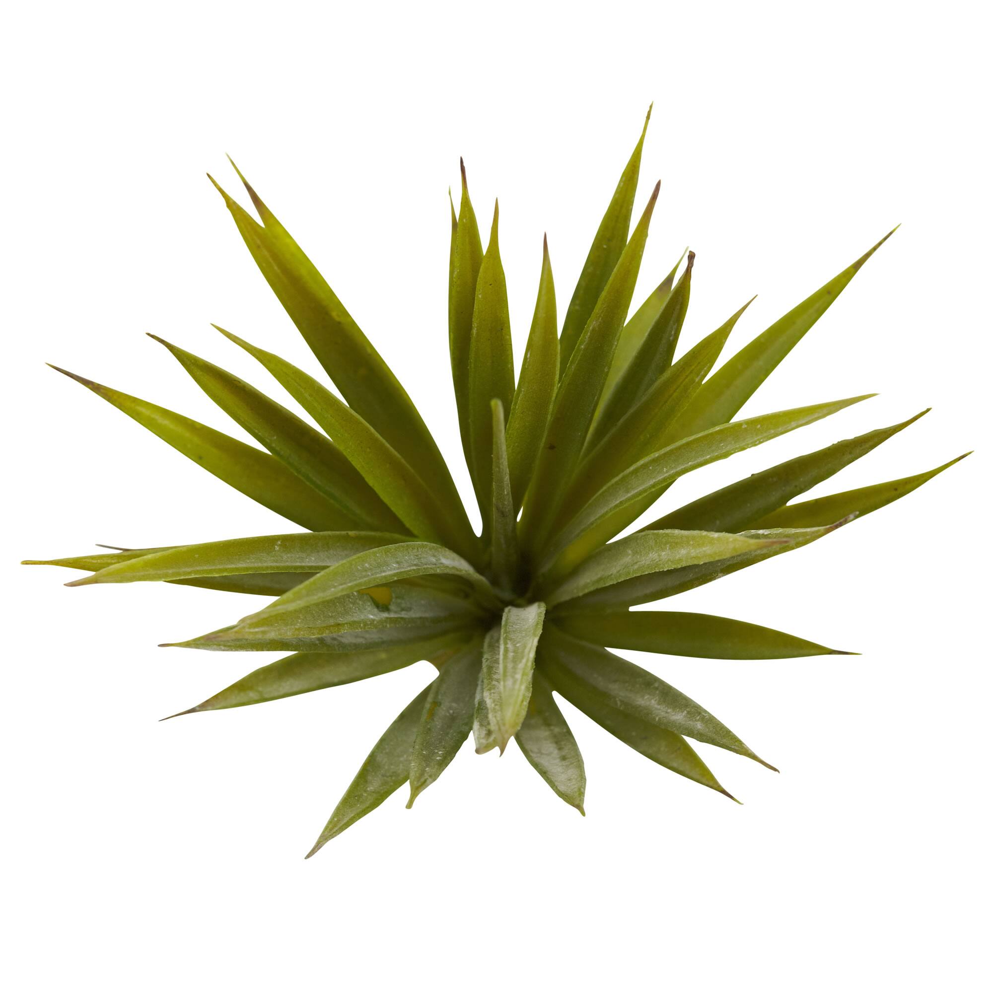 Spiky Agave Succulent Pick, 12ct.